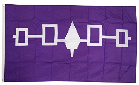 Flaggenfritze Fahne/Flagge Indianer Irokesen + gratis Sticker