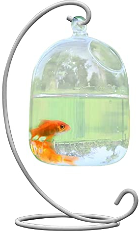 MISNODE Vase à Poisson en Verre à Suspendre avec Support, Vase créatif en Verre Transparent pour Poissons Rouges, Petit Aquarium en Verre pour Betta Fish Home Garden Bureau Décor