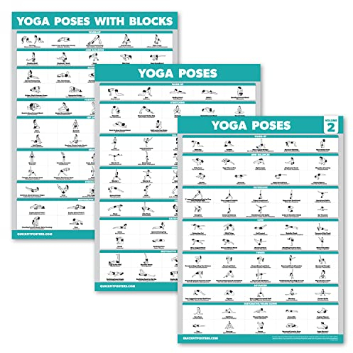 Palace Learning Yoga-Posenposter Band 1 & 2 + Yoga-Positionen mit Yoga-Block – Yoga-Positionstabellen für Anfänger – Englische und Sanskrit-Namen (45,7 x 61 cm, laminiert)
