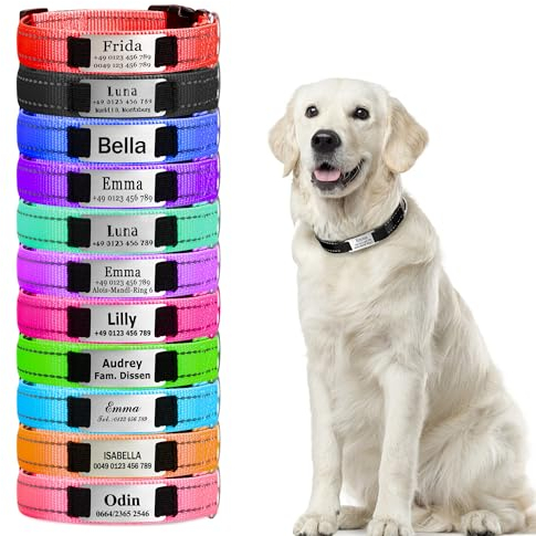 Personalisierte Hundehalsbänder, Reflektierende Hundehalsband mit Namen Telefonnummer, Verstellbar Halsband mit Namensschild Personalisiertes Geschenk