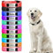 Personalisierte Hundehalsbänder, Reflektierende Hundehalsband mit Namen Telefonnummer, Verstellbar Halsband mit Namensschild Personalisiertes Geschenk