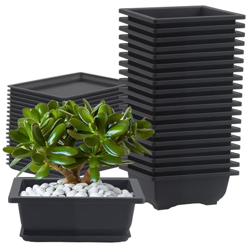 CHUENHEI 20 Stück Bonsai Topf Plastik 16.5x12x6cm, Rechteckige Bonsaischalen mit Untersetzer 13.5x9.5x1cm, Bonsai Schale Kunststoff für Wohnzimmer, Büros, Gärten, Balkone, Braun