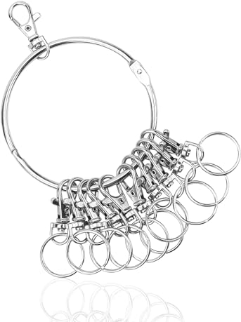 AMONENZ Abnehmbare Schlüsselanhänger, Schlüssel Organizer, Hohe Kapazität Schlüssel Rings, mit 10 Schlüsselanhänger Metall, für Lagerleiter, Wohnheimleiter
