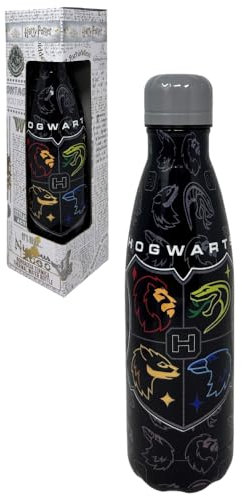 CARTOON Harry Potter Bouteille isotherme en acier inoxydable avec bouchon dévissable, bouteille isotherme en acier inoxydable pour enfants garçons 500 ml