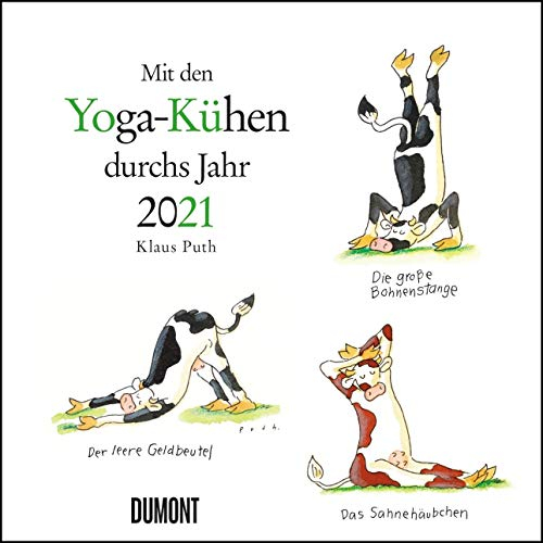 Mit den Yoga-Kühen durchs Jahr 2021 – Wandkalender – Quadratformat 24 x 24 cm