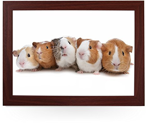 Portable Lap Desk Tray (Guinea Pigs) Handmade Wooden Frame, Beanbag Cushioned Bottom | Computers, Laptops, Meals, Food | L0141 Brown