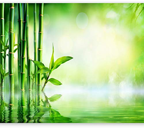 murando Fotomurales 400x280 cm XXL Papel pintado tejido no tejido Decoración de Pared decorativos Murales moderna Diseno Fotográfico Bambu Naturaleza verde b-B-0164-a-a