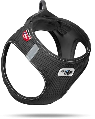 Vest Harness D-Ring Buckle Black M