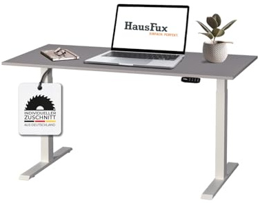 Hausfux Höhenverstellbarer Schreibtisch auf Maß - inkl. 2,5 cm starker, maßgefertigter Tischplatte - 2- oder 3-stufiges Gestell, OLED-Touchpanel (Platin Grau & Weiß, 2-stufig, 110 x 70 cm)