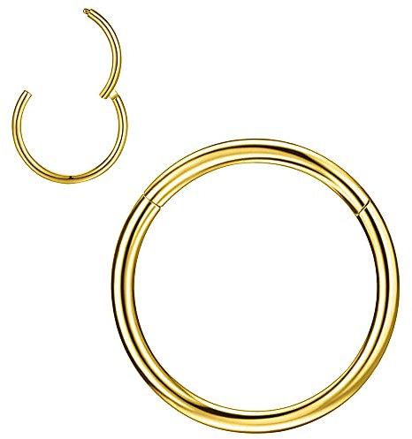 PunkTracker 1Pcs 20G 18G 16G 6/7/8/9/10mm Cartilage Tragus Helix Earring Hoop Stainless Steel Nose Rings Nose Piercings Helix Conch Septum Jewellery - Silver/Gold/Rose Gold