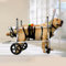 Hunderollstuhl Rollstühle für Kleine, Mittelgroße Und Große Hunde, 4 Räder mit Vollunterstützung für Alle Hunderassen, Rollstuhl mit Verstellbarer Beinschiene für Behinderte, Mobilitätshilfe für Haust