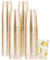 Gikisla 50pcs Gold Plastic Cups, 300ml Hard Gold Plastic Tumblers for Cocktail and Drinking, Reusable Clear Drink Cups for Fancy Wedding, Thanksgiving, Christmas