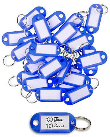 WINTEX Porte Clé Etiquette - 100 pièces - Porte Cle avec Etiquettes en Plastique Résistant - Porte Clef Colorés pour Organisation Voyages Animaux Domestiques - Bleu