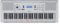 Yamaha EZ-300 Digital Keyboard, weiß – Portables Lern-Keyboard mit USB-to-Host-Anschluss – Keyboard mit 61 anschlagdynamischen Leuchttasten