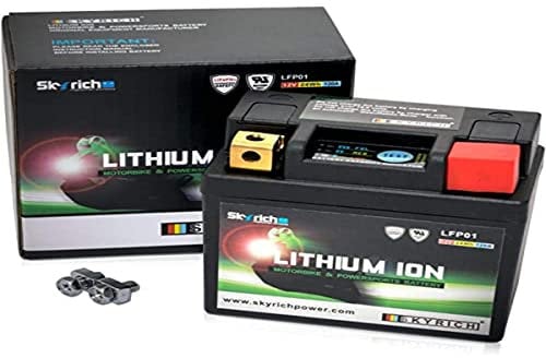 Batterie Skyrich Lithium LFP01