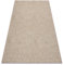 rugsx Tapis SISAL Flat Intérieur Extérieur– Moderne et résistant – pour Salon, Balcon, terrasse – Trellis Muster – Beige Naturel Couleur Paille, Cordon 160x230 cm