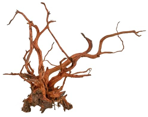 Amtra Legno Red Spider King - Größe XS 10-25 cm, Naturholzdekoration für Aquarien, Naturstamm Ornament, Dekoration für Terrarien