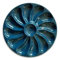 JORISELECTION Assiettes A Huitres couleur BLEU NUIT 12 Compartiments +1 Pour Le Citron, Sauce. Fabrication Française Diamètre 30.5 Cm