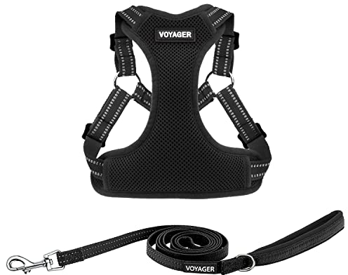 Voyager Step-In Flex Hundegeschirr und reflektierende Hundeleine Kombi-Set mit Neoprengriff 1,8 m lang, unterstützt kleine, mittelgroße und große Rassen Welpen, Schwarz (mit Leine), XL