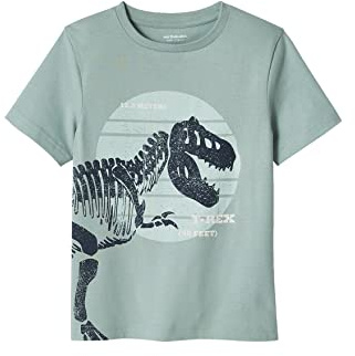 Vertbaudet Jungen T-Shirt, Dinosaurier mintgrün 116