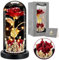 BoriYa Cadeau Fete des Meres - Cadeau Femme, Rose Eternelle avec Couronne,Fleur Eternelle sous Cloche LED, Rose Eternel en Verre avec Carte de Voeux, Roses Eternels Cadeau des Maman,Anniversaire Femme