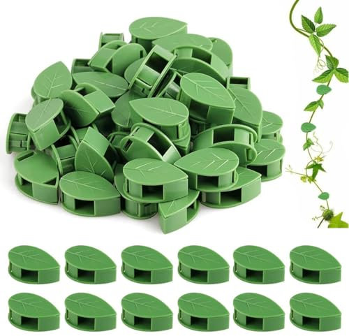 MIRKUZI Gabbie e supporti per piante Confezione da 40 clip per piante, accessori per piante rampicanti, accessori per pareti per piante, supporti per viticci fogliari con punti adesivi