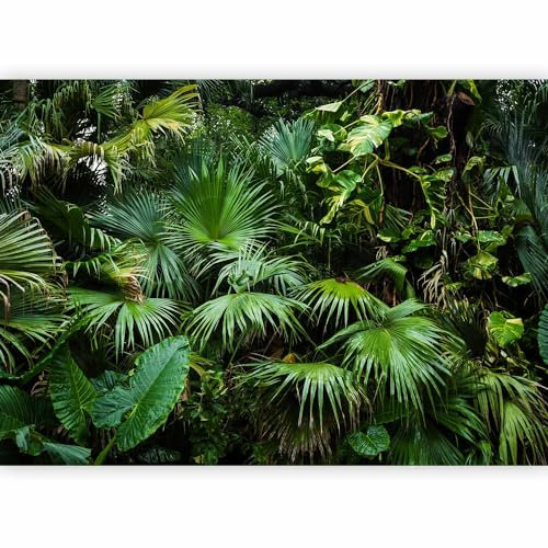 murando - Papier peint panoramique nature 350x256 cm - Revêtement mural décoration chambre salon - Design moderne - Gris vert - Jungle forêt feuilles nature palmiers tropical vert b-B-0312-a-a