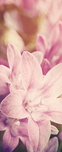 A.Monamour 3D Door Stickers for Interior Doors Campanula Bouquet Pink Flowers Background Vinyl Waterproof Self Adhesive Door Mural Decals for Bedroom Office Bathroom 85 x 215 cm