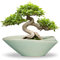 EPFamily Bonsai-Topf – 30,5 cm Keramik-Pflanztopf mit Ablaufloch, großer moderner Übertopf, dekorativ, glasiert, Sukkulenten-Blumentopf für Innen- und Außenbereich, Grün