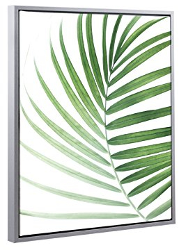 Schattenfugenrahmen Set Lemgo Alu geschliffen (Dekor) mit Keilrahmen Leinwand Bild Druck Motiv: Palmenblatt 1 70x100cm