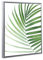 Schattenfugenrahmen Set Lemgo Alu geschliffen (Dekor) mit Keilrahmen Leinwand Bild Druck Motiv: Palmenblatt 1 70x100cm
