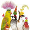 Home Collection Servietten (2er Set / 40Stück) 3-lagig 33x33cm Tropical Vogel Fantasie