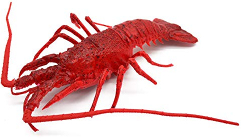 Generisch Mittelmeerlanguste Mediterranischer Hummer Deko-Attrappe für Fischläden Fischbuden Schalentiere Requisite Fake Food Meerestiere aus Kunststoff Polyethylen Realistisch (Realistic) rot