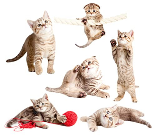 UPKOCH Glasdekor 12 Stück Katzen-Fensteraufkleber Antikollisions-Statik-Haftung Diy-Fensteraufkleber Fensteraufkleber Ohne Klebstoff Fensterdekoration Für Schlafzimmer Badezimmer