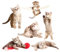 UPKOCH Glasdekor 12 Stück Katzen-Fensteraufkleber Antikollisions-Statik-Haftung Diy-Fensteraufkleber Fensteraufkleber Ohne Klebstoff Fensterdekoration Für Schlafzimmer Badezimmer