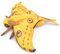 lilizzhoumax Simulation Mondmotte Plüschtier 25.6 Zoll Weiches realistisches Mondmotte Stofftier für Kinder Insektenliebhaber Jungen und Mädchen Geschenke Heimdekoration Gelb