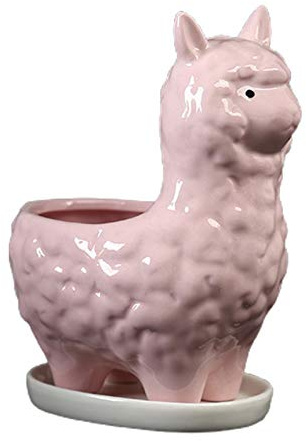ROYJJ Niedlicher Pflanztopf mit Drainageschale, Eramischer Kaktus-Blumenbehälter, Tier-Bonsai-Halter für Pflanzen, schwimmendes Regal mit Haken und Korb