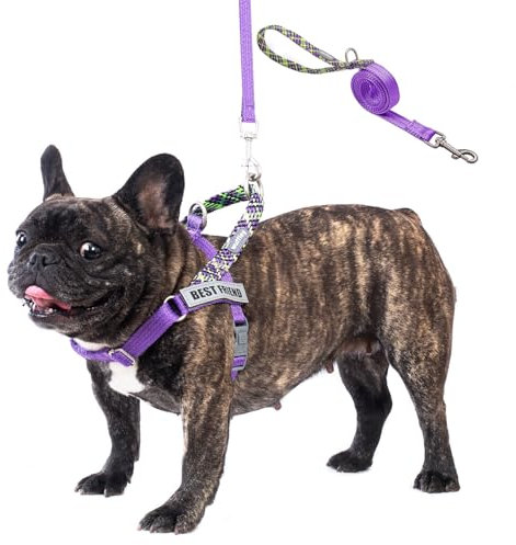 Wuffley Anti-Zug Hundegeschirr mit Leine, Hundegeschirr Kleine Mittelgroße Hunde, Geschirr Hund mit Griff und 2 Aufnähern, Reflektierendes, Leichtes Brustgeschirr Hund für Outdoor-Training(Lila,XS