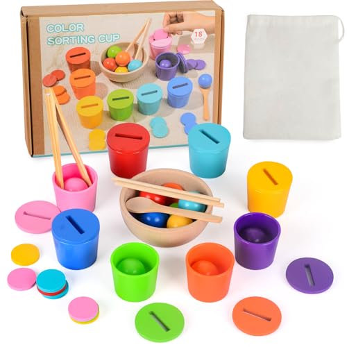Montessori Spielzeug ab 1 2 3 Jahre, Baby Motorikspielzeug Holz Farben Sortierspiel Stapelspiel, Sensorik Spielzeug & Lernspielzeug für Vorschule für Farbsortierung und Zählen, Geschenk für Baby