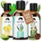 Emma Grün® Bio Saunaaufguss Set 3x 100ml [MIT BIO ZITRUSÖLEN, EUKALYPTUS & ZIRBENÖL] - Ätherische Öle Sauna Set - Saunaduft Aufgussmittel mit Zitrusfrüchten, Menthol & Latschenkiefer - Bio Saunaöl