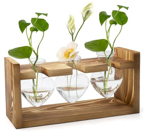 HENGBIRD Vintage Deko Blumenvase mit HolzstäNder ReagenzgläSer für Blumen Propagation Station Vase Glas Vasen Deko Terrarium Pflanzen Ableger Pflanzen Glas Pflanzen Geschenk Fensterbank BüRo Deko