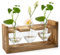 HENGBIRD Vintage Deko Blumenvase mit HolzstäNder ReagenzgläSer für Blumen Propagation Station Vase Glas Vasen Deko Terrarium Pflanzen Ableger Pflanzen Glas Pflanzen Geschenk Fensterbank BüRo Deko