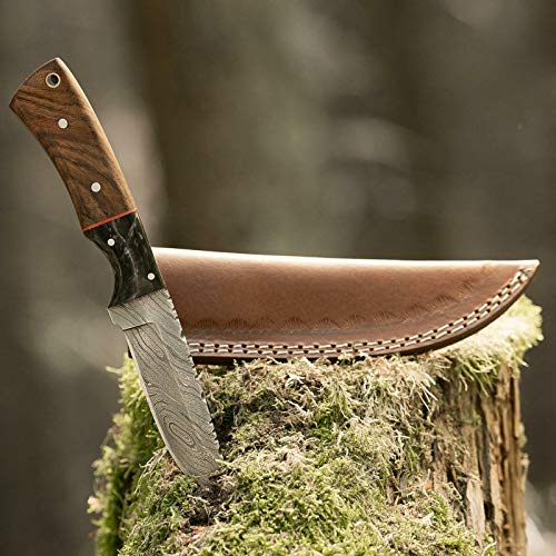 elToro Walnut Horn - Damast - Jagdmesser - 10cm - inkl. Lederscheide; Messer für Camping, Outdoor, Survival, Wald und Forst