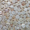 Zufällige natürliche Penny Runde Muschel Mosaik Fliesen Perlmutt Küche Backsplash Badezimmer Hintergrund Dusche Wandfliesen