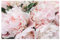 Bilderwelten Fototapete Blumen 320cm x 480cm Natur Rosen Pfingstrosen Blumentapete Vliestapete Tapete Wanddeko Ideen Wohnzimmer Schlafzimmer Küche