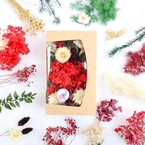 Premium Trockenblumen zum Basteln - Vielfältige Farben, Natürlich Duftend, in Stilvoller Öko-Papierbox - Made in Germany (Rot-Grün-Weiß)