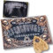 Planche Ouija avec Planchette et Instructions détaillées pour la Communication avec Les Spires
