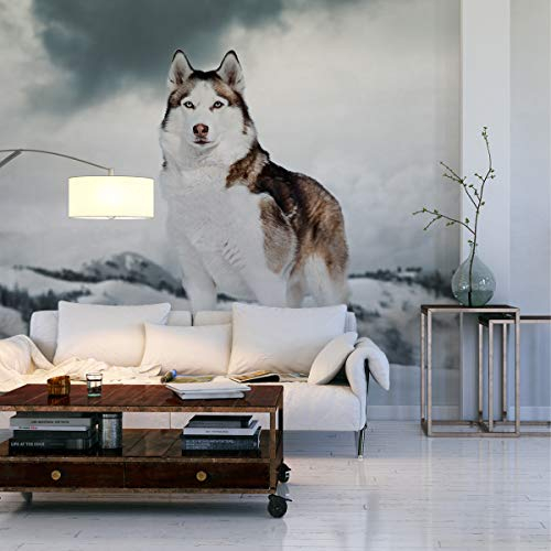 Wallepic Selbstklebende Fototapete Tiere Natur Hund Husky Gebirge 460 x 300 Moderne Tapete XXL Wald Bäume Schnee Wohnzimmer Schlafzimmer Büro Flur Mehrfarbig Abstrakt Br.460xHö.300