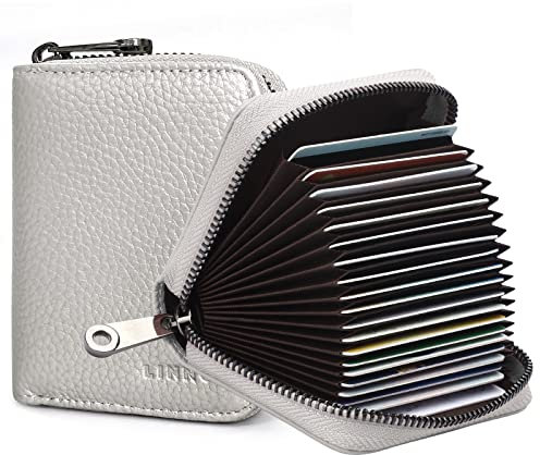 Goopai RFID 20 Kartenfächer Kreditkartenetui Echtes Leder Akkordeon Kartenetui Kleine Geldbörse für Damen oder Herren mit Reißverschluss, silber, S, Klassisch