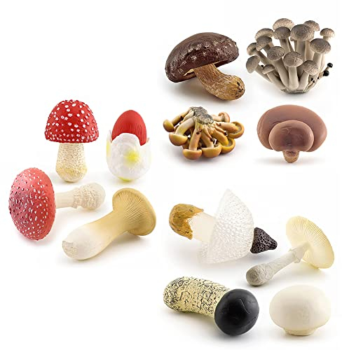 LICHENGTAI Künstliche Pilze Pilzdekoration Mini Pilze Miniatur Gartendekoration Simulation Pilz Ornamente für Fuer Heim Garten Dekoration Foto Requisiten